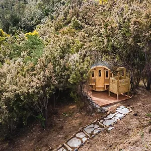 https://el-pino-centenario-3-con-sauna.in-canary-islands.com